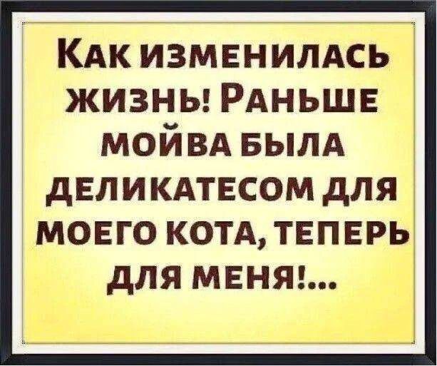 КАК ИЗМЕНИЛАСЬ ЖИЗНЬ! РАНЬШЕ МОЙВА БЫЛА ДЕЛИКАТЕСОМ ДЛЯ МОЕГО КОТА, ТЕПЕРЬ ДЛЯ МЕНЯ!...
