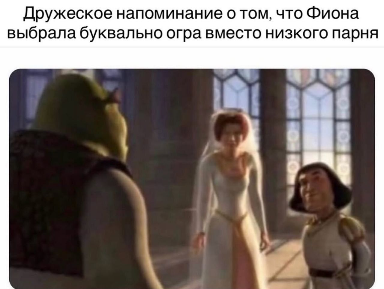Дружеское напоминание о том, что Фиона выбрала буквально огра вместо низкого парня