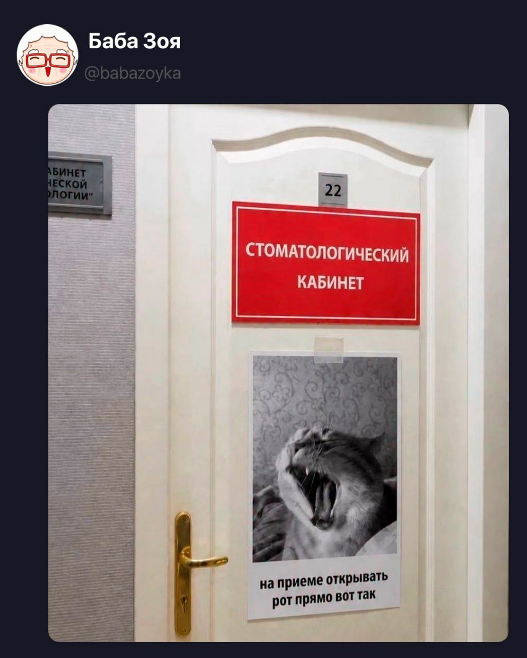 Баба Зоя @babazoyka АБИНЕТ НЕСКОЙ ОЛОГИИ 22 СТОМАТОЛОГИЧЕСКИЙ КАБИНЕТ на приеме открывать рот прямо вот так