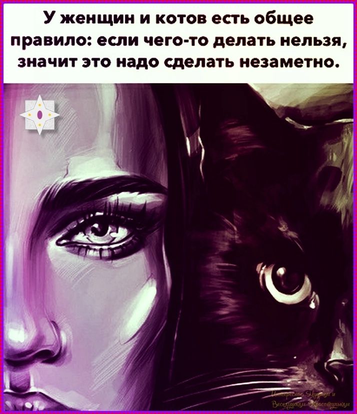 У женщин и котов есть общее правило: если чего-то делать нельзя, значит это надо сделать незаметно.