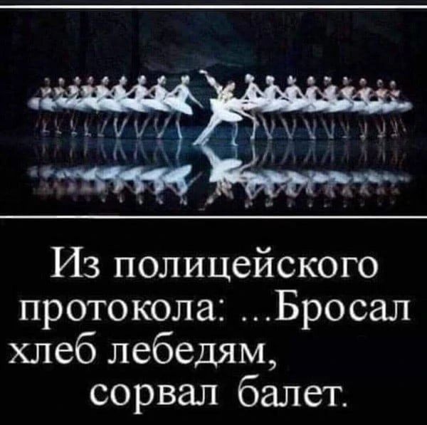 Из полицейского протокола: ...Бросал хлеб лебедям, сорвал балет.
