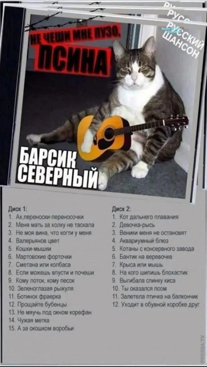 Русский шансон Барсик Северный Не чеши мне пузо, псина
