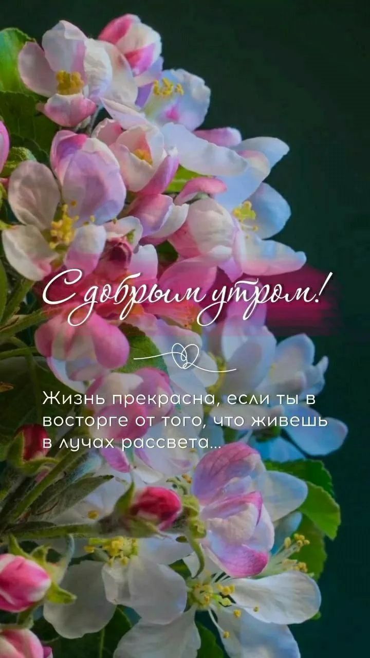 С добрым утром! Жизнь прекрасна, если ты в восторге от того, что живешь в лучах рассвета...