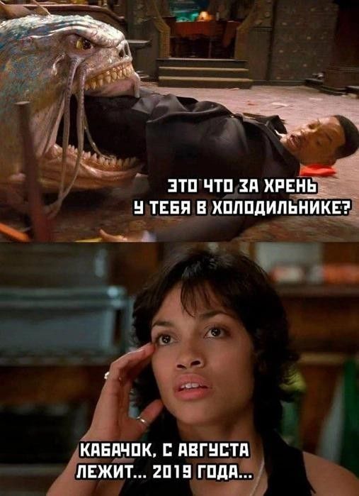 ЭТО ЧТО ЗА ХРЕНЬ У ТЕБЯ В ХОЛОДИЛЬНИКЕ? КАБАЧОК, С АВГУСТА ЛЕЖИТ... 2019 ГОДА...