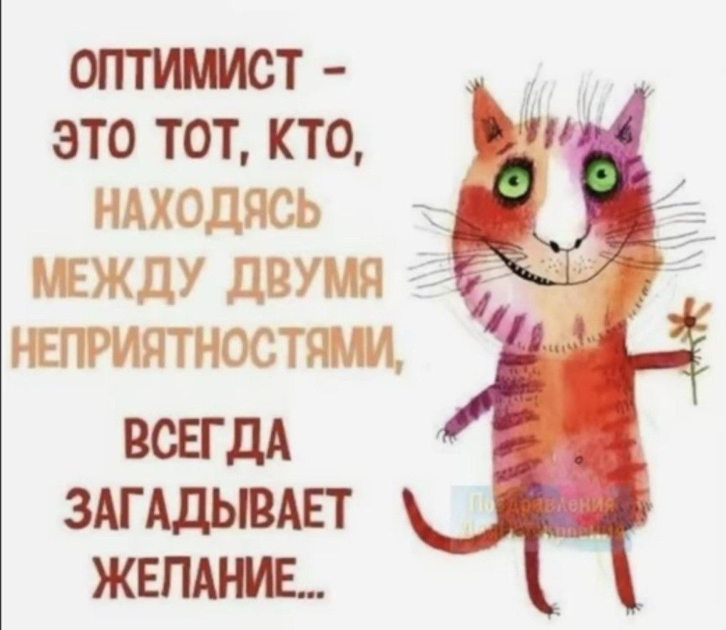 ОПТИМИСТ - ЭТО ТОТ, КТО, НАХОДЯСЬ МЕЖДУ ДВУМЯ НЕПРИЯТНОСТЯМИ, ВСЕГДА ЗАГАДЫВАЕТ ЖЕЛАНИЕ... Поздравления