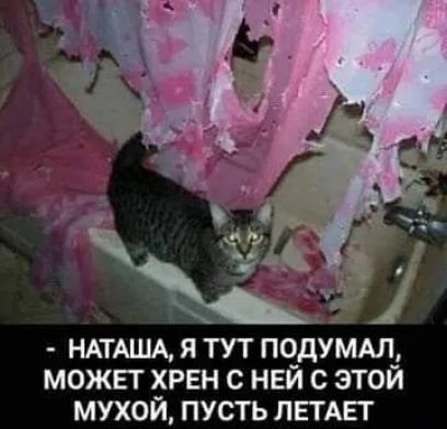 НАТАША, Я ТУТ ПОДУМАЛ, МОЖЕТ ХРЕН С НЕЙ С ЭТОЙ МУХОЙ, ПУСТЬ ЛЕТАЕТ