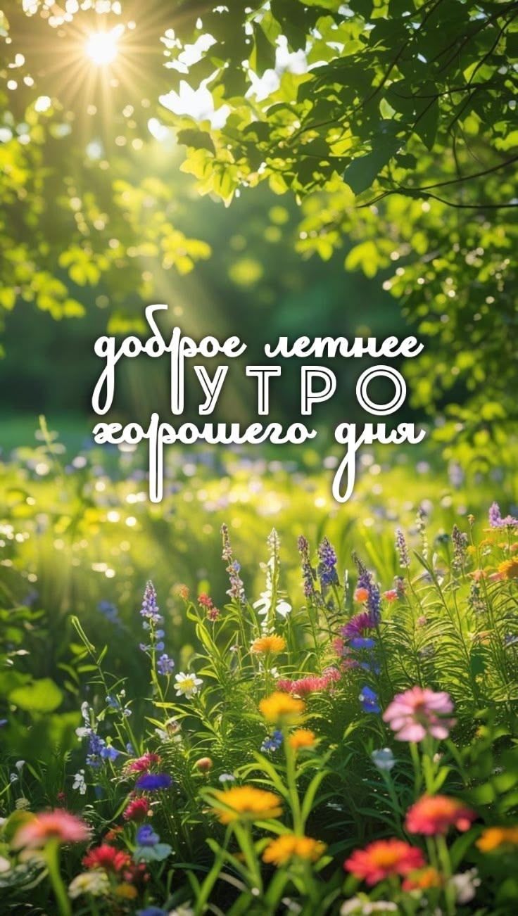 доброе летнее утро хорошего дня