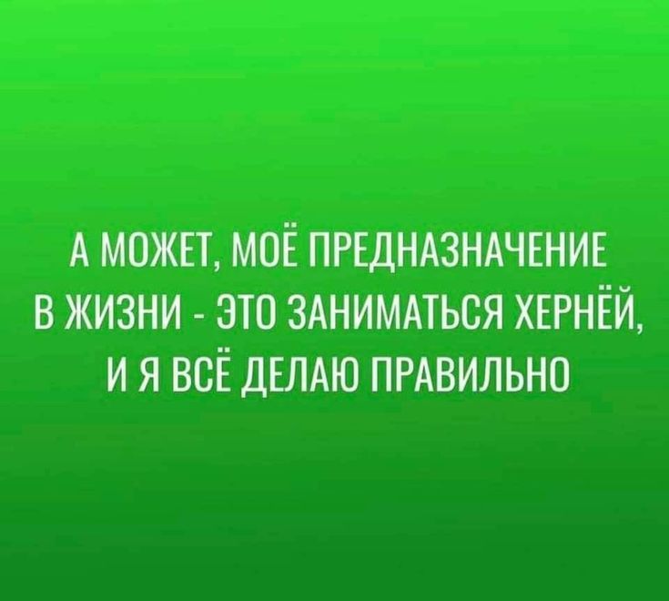 А может, моё предназначение в жизни - это заниматься хернёй, и я всё делаю правильно