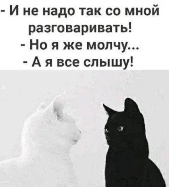 - И не надо так со мной разговаривать!
- Но я же молчу...
- А я все слышу!