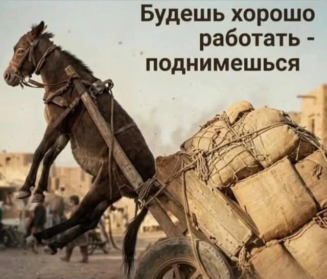 Будешь хорошо работать - поднимешься