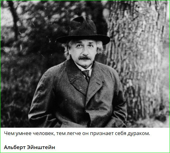 Чем умнее человек, тем легче он признает себя дураком. Альберт Эйнштейн