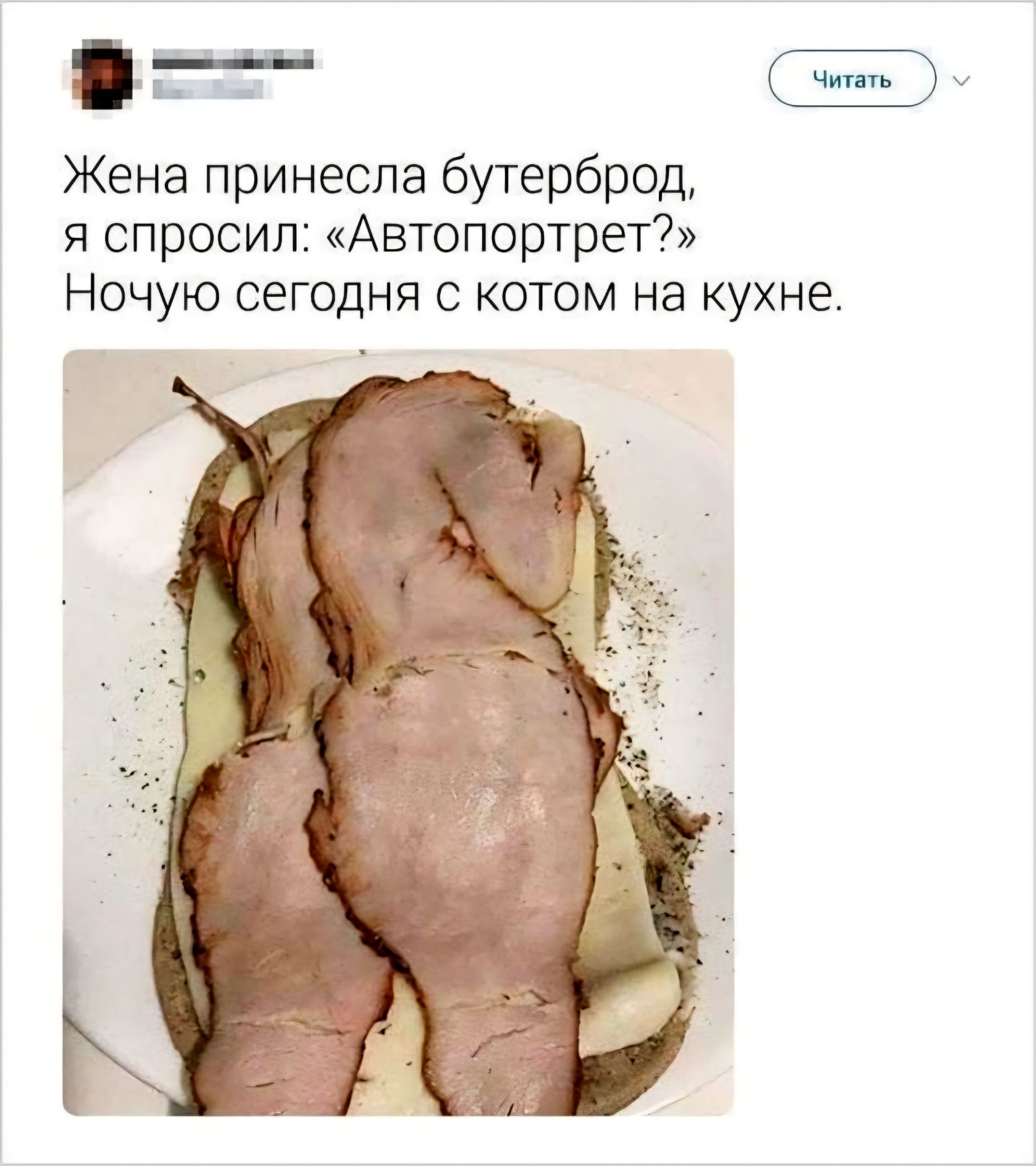Жена принесла бутерброд, я спросил: «Автопортрет?» Ночую сегодня с котом на кухне.