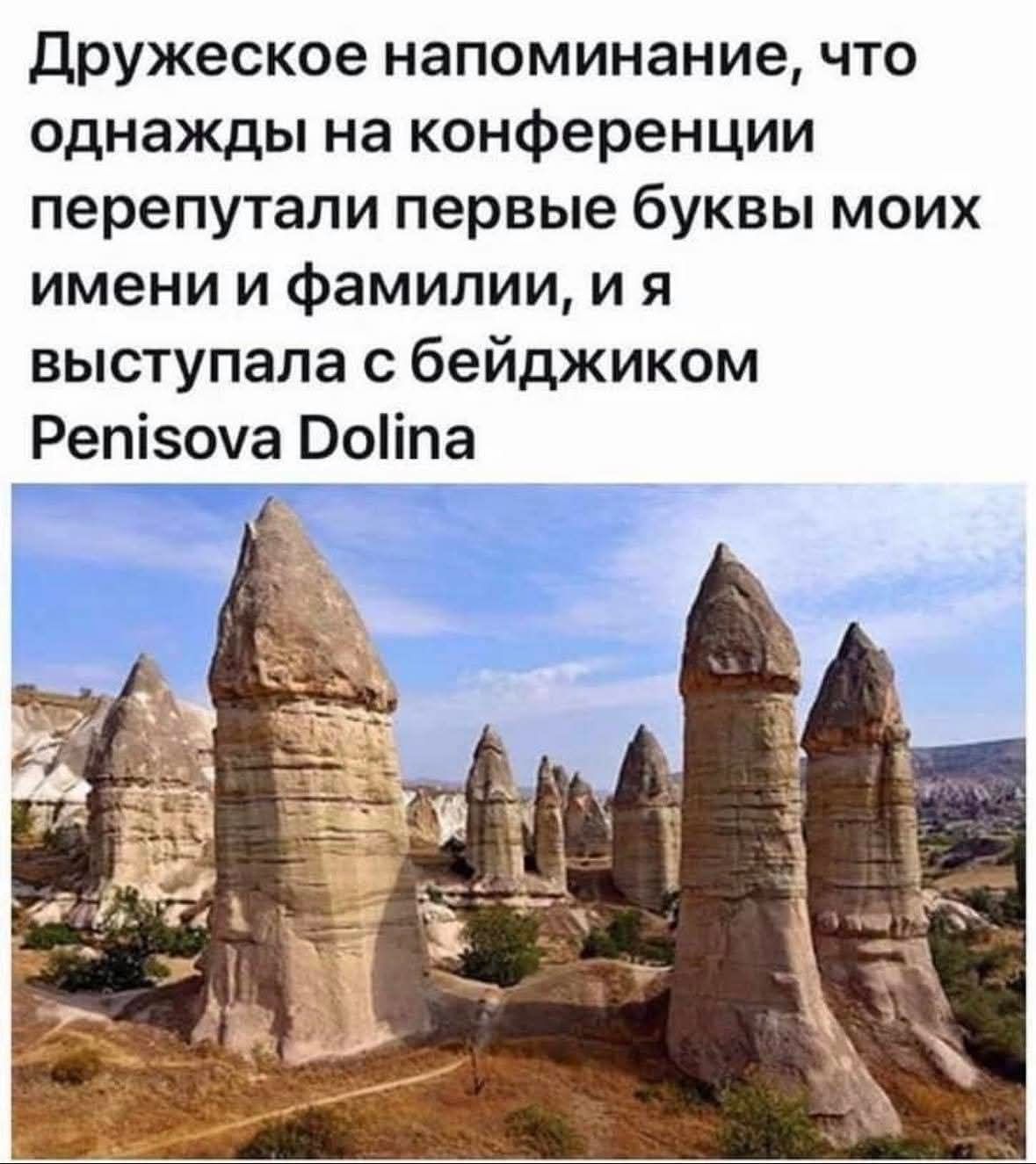 Дружеское напоминание, что однажды на конференции перепутали первые буквы моих имени и фамилии, и я выступала с бейджиком Penisova Dolina