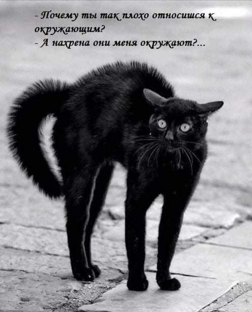 - Почему ты так плохо относишься к окружающим?
- А нахрена они меня окружают?...