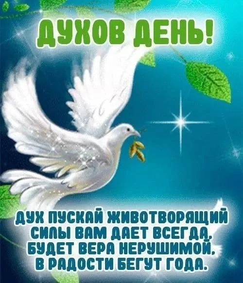 ДУХОВ ДЕНЬ! ДУХ ПУСКАЙ ЖИВОТВОРЯЩИЙ СИЛЫ ВАМ ДАЕТ ВСЕГДА, БУДЕТ ВЕРА НЕРУШИМОЙ. В РАДОСТИ БЕГУТ ГОДА.