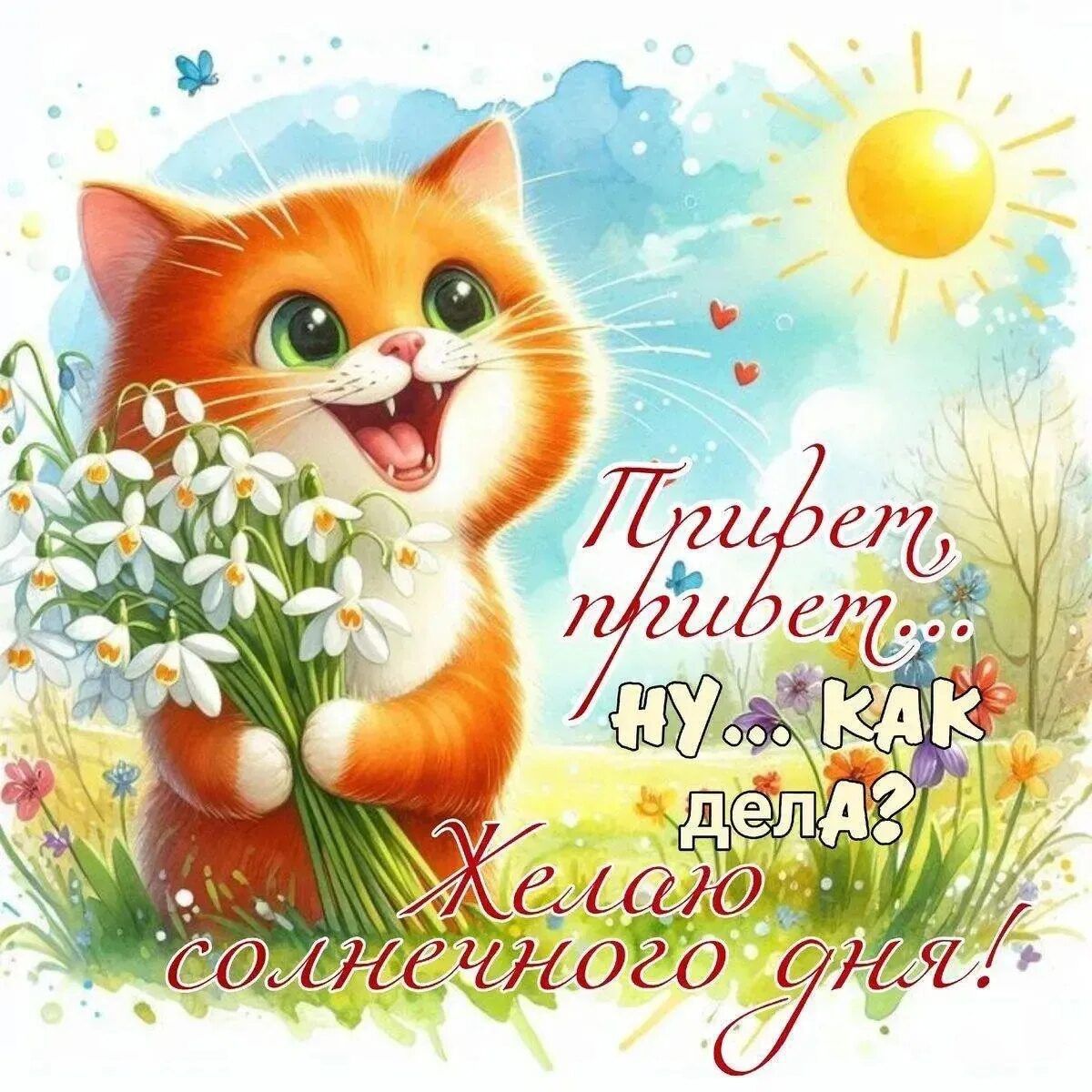 Привет, привет... Ну... как дела? Желаю солнечного дня!