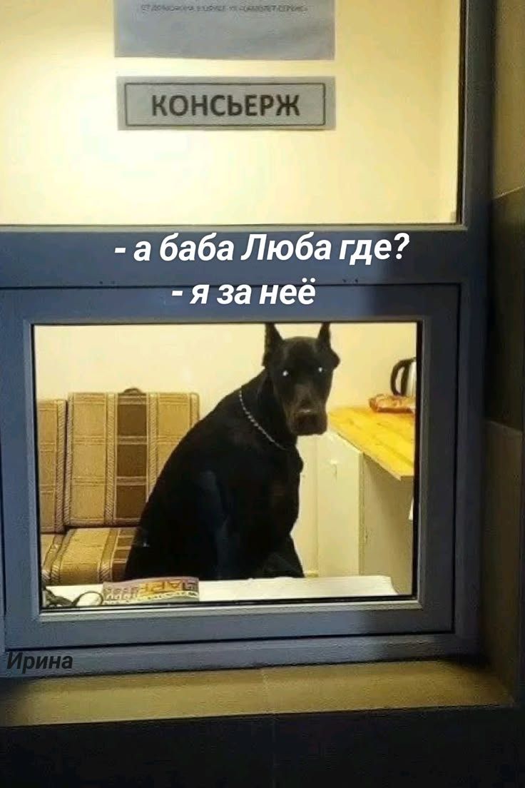 КОНСЬЕРЖ - а баба Люба где? - я за неё
