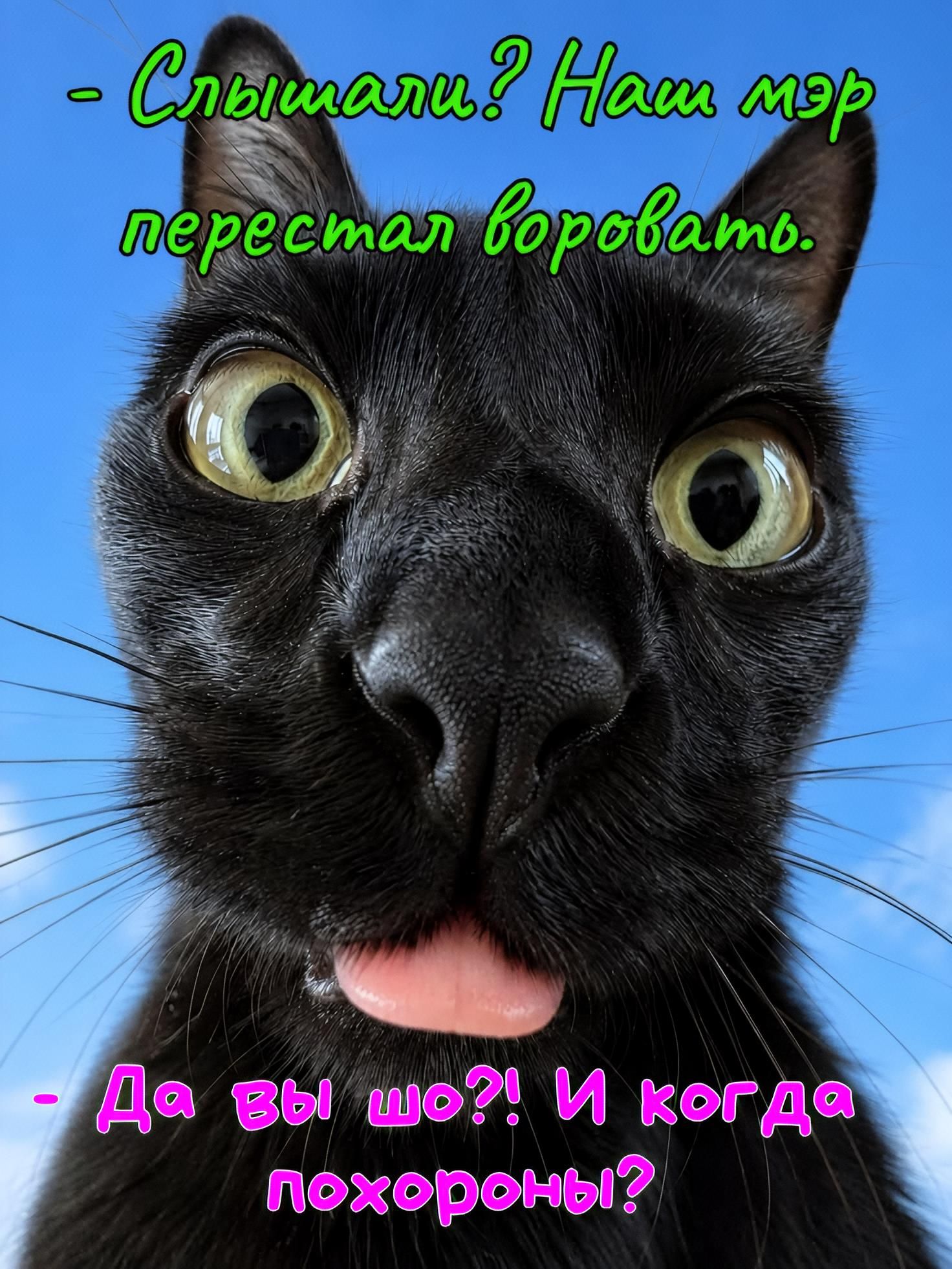 - Слышали? Наш мэр перестал воровать. - Да вы шо?! И когда похороны?