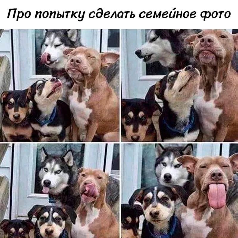 Про попытку сделать семейное фото