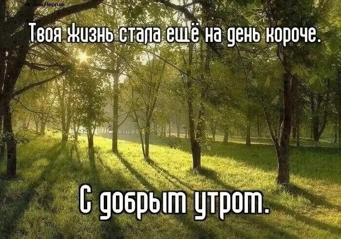 Твоя жизнь стала ещё на день короче. С добрым утром.