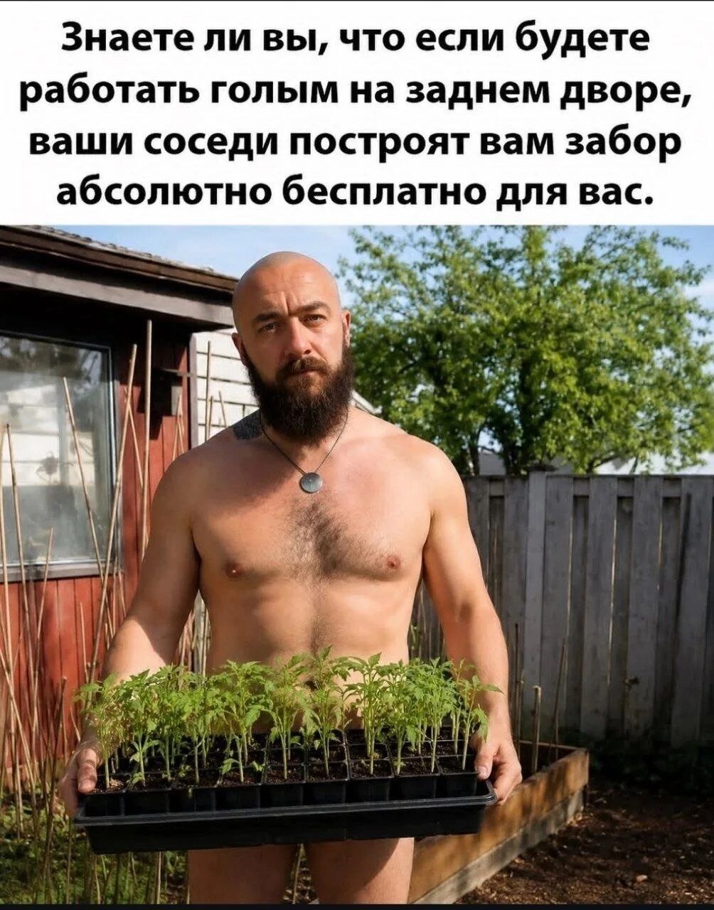 Знаете ли вы, что если будете работать голым на заднем дворе, ваши соседи построят вам забор абсолютно бесплатно для вас.