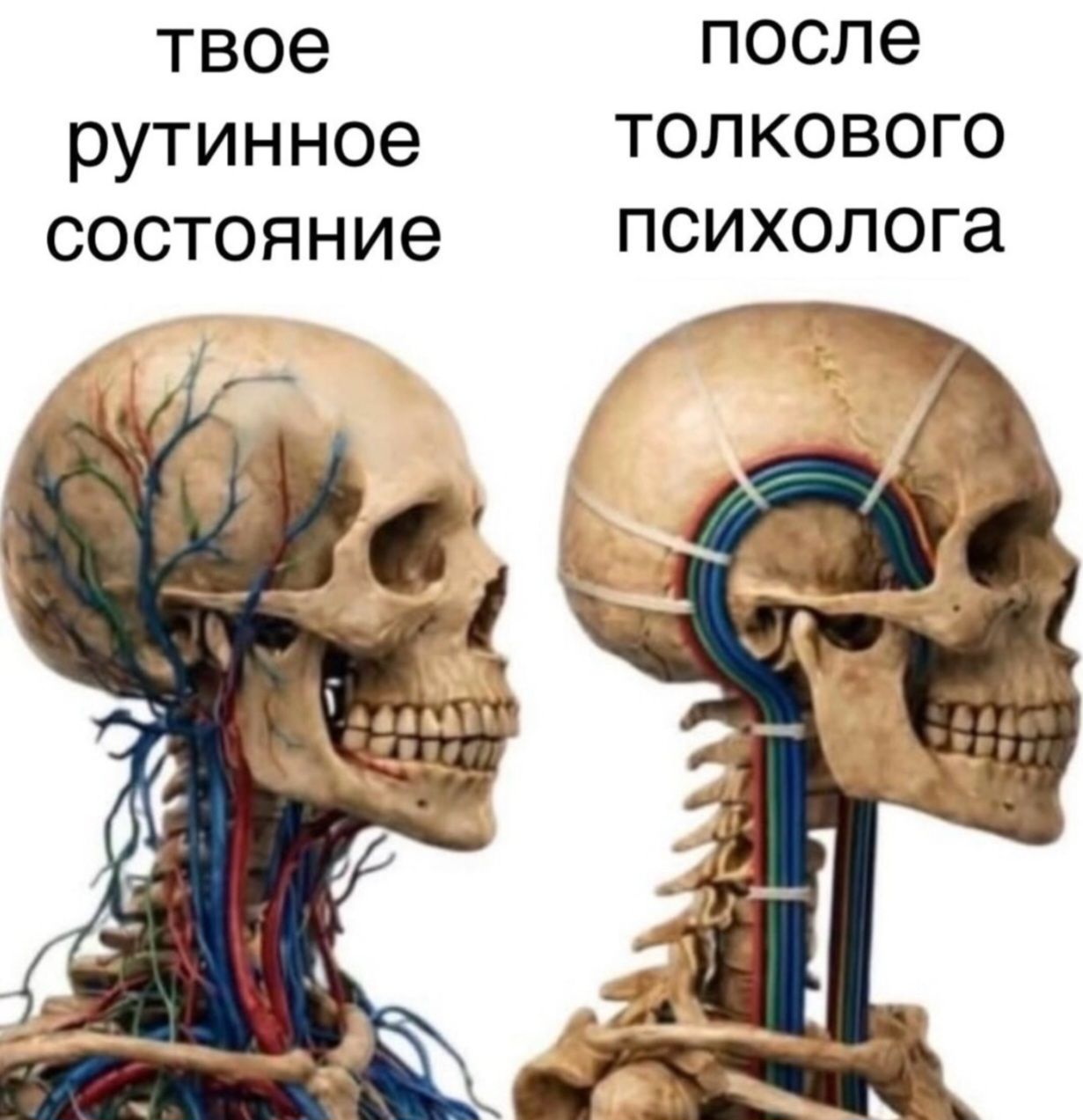 твое рутинное состояние после толкового психолога
