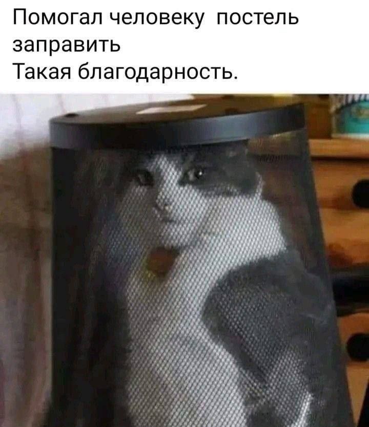Помогал человеку постель заправить Такая благодарность.