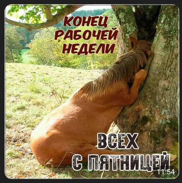 КОНЕЦ РАБОЧЕЙ НЕДЕЛИ ВСЕХ С ПЯТНИЦЕЙ