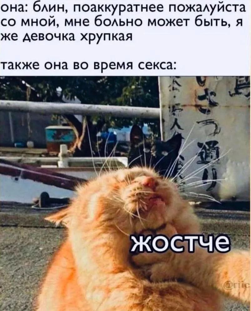 она: блин, поаккуратнее пожалуйста со мной, мне больно может быть, я же девочка хрупкая также она во время секса: жестче