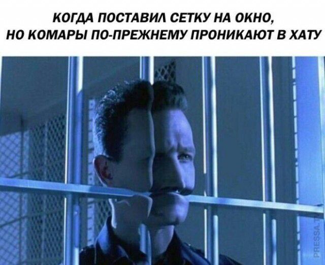 КОГДА ПОСТАВИЛ СЕТКУ НА ОКНО, НО КОМАРЫ ПО-ПРЕЖНЕМУ ПРОНИКАЮТ В ХАТУ