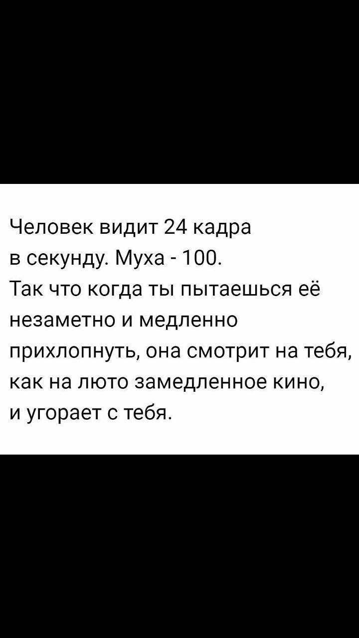 Человек видит 24 кадра в секунду. Муха - 100. Так что когда ты пытаешься её незаметно и медленно прихлопнуть, она смотрит на тебя, как на люто замедленное кино, и угорает с тебя.