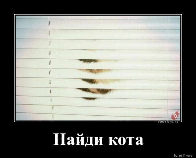 Найди кота