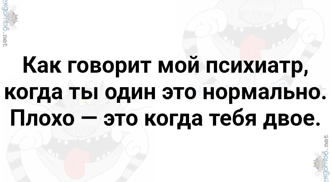 Как говорит мой психиатр, когда ты один это нормально. Плохо — это когда тебя двое.