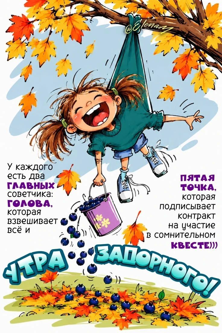У каждого есть два главных советчика: голова, которая взвешивает всё и пятая точка, которая подписывает контракт на участие в сомнительном квесте))) УТРА ЗАДОРНОГО!