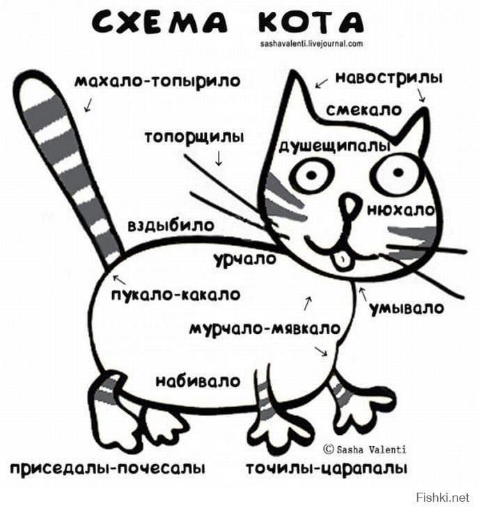 СХЕМА КОТА махало-топырило топорщилы вздыбило пукало-какало набивало приседалы-почесалы точилы-царапалы навострилы смекало душещипалы нюхало урчало умывало мурчало-мявкало