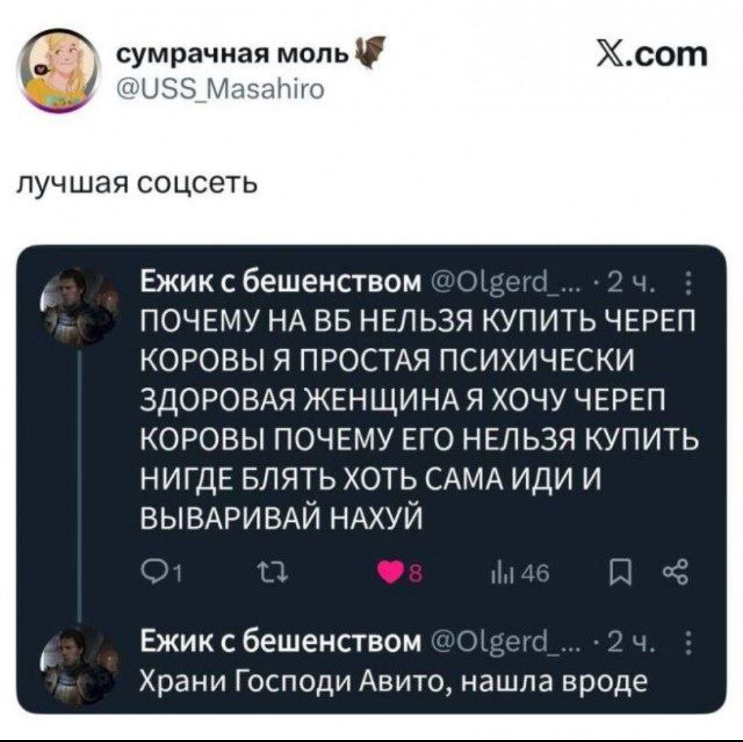 сумрачная моль @USS_Masahiro лучшая соцсеть. Ежик с бешенством @Olgerd_...: ПОЧЕМУ НА ВБ НЕЛЬЗЯ КУПИТЬ ЧЕРЕП КОРОВЫ Я ПРОСТАЯ ПСИХИЧЕСКИ ЗДОРОВАЯ ЖЕНЩИНА Я ХОЧУ ЧЕРЕП КОРОВЫ ПОЧЕМУ ЕГО НЕЛЬЗЯ КУПИТЬ НИГДЕ БЛЯТЬ ХОТЬ САМА ИДИ И ВЫВАРИВАЙ НАХУЙ. Ежик с бешенством @Olgerd_...: Храни Господи Авито, нашла вроде.