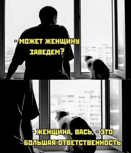 МОЖЕТ ЖЕНЩИНУ ЗАВЕДЕМ? ЖЕНЩИНА, ВАСЬ, - ЭТО БОЛЬШАЯ ОТВЕТСТВЕННОСТЬ
