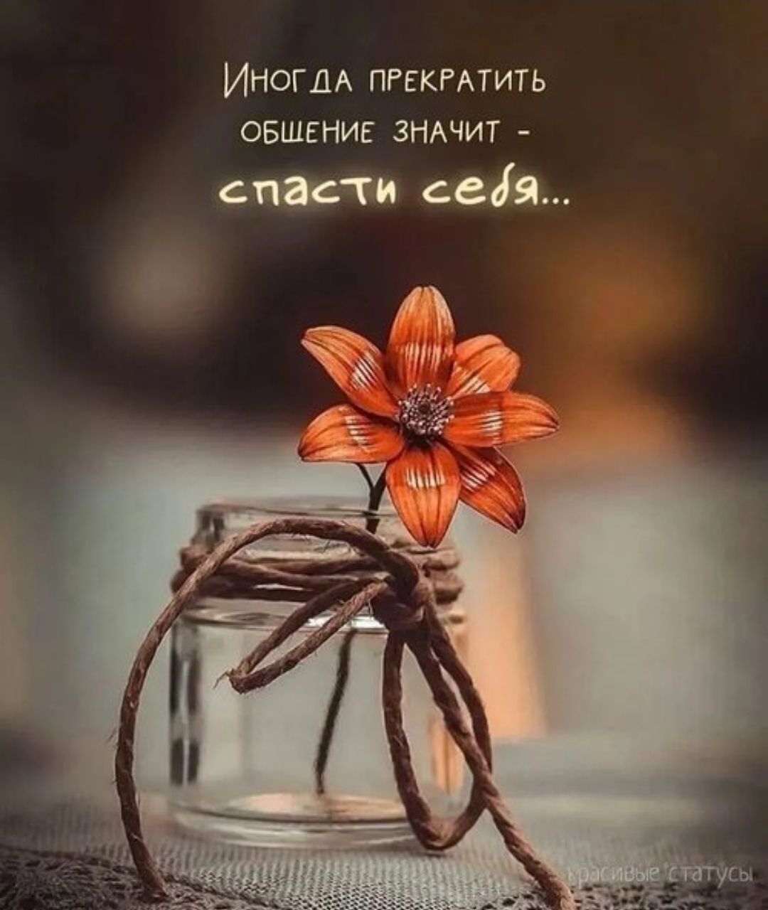 ИНОГДА ПРЕКРАТИТЬ ОБЩЕНИЕ ЗНАЧИТ - СПАСТИ СЕБЯ...
