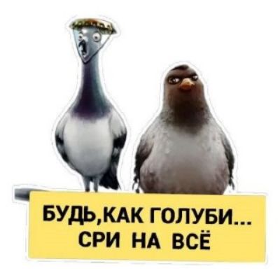БУДЬ, КАК ГОЛУБИ... СРИ НА ВСЁ