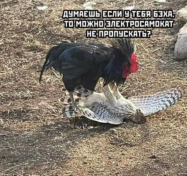 ДУМАЕШЬ ЕСЛИ У ТЕБЯ БЭХА, ТО МОЖНО ЭЛЕКТРОСАМОКАТ НЕ ПРОПУСКАТЬ?