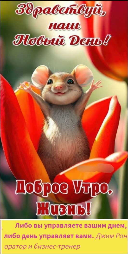 Здравствуй, наш Новый День! Доброе Утро, Жизнь! Либо вы управляете вашим днем, либо день управляет вами. Джим Рон, оратор и бизнес-тренер