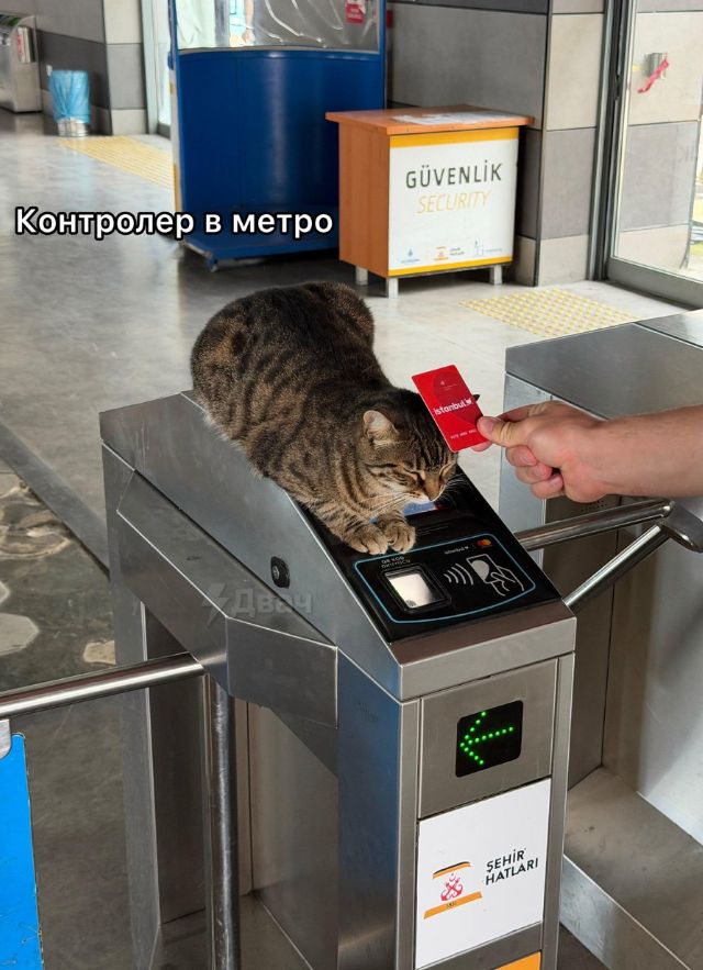 Контролер в метро GÜVENLİK SECURITY istanbul.w ŞEHİR HATLARI