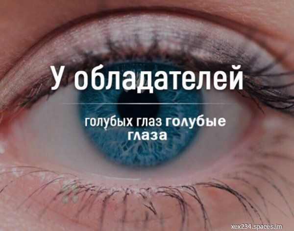 У обладателей голубых глаз голубые глаза