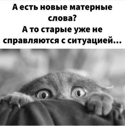 А есть новые матерные слова? А то старые уже не справляются с ситуацией...