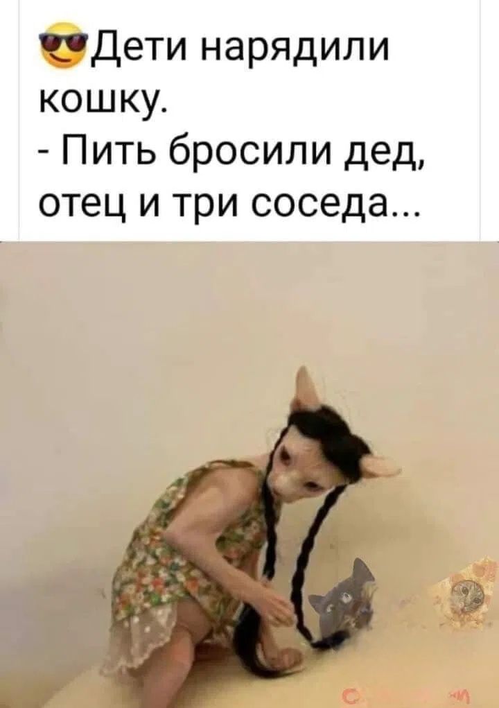 😎 Дети нарядили кошку. - Пить бросили дед, отец и три соседа...