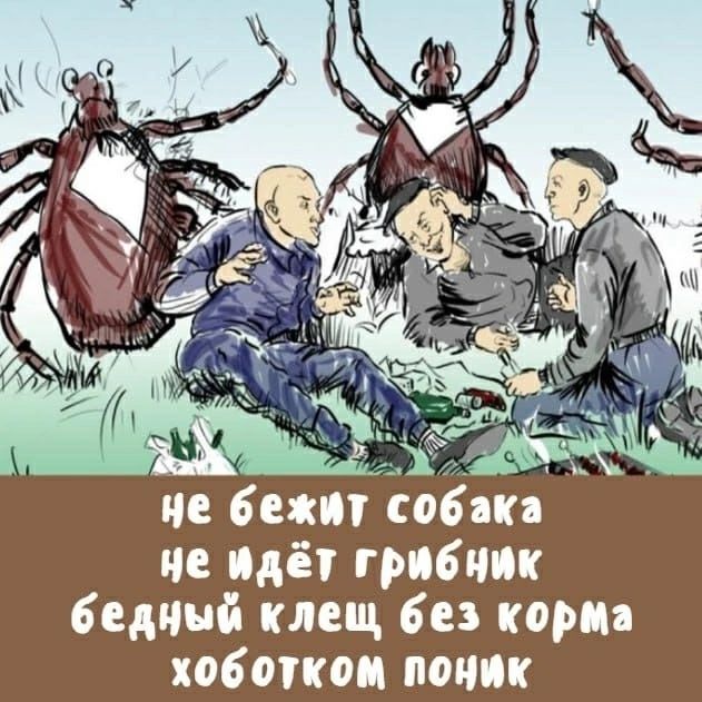 не бежит собака не идёт грибник бедный клещ без корма хоботком поник