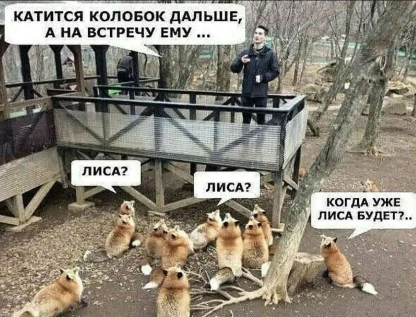 Катится колобок дальше, а на встречу ему... Лиса? Лиса? Когда уже лиса будет?..