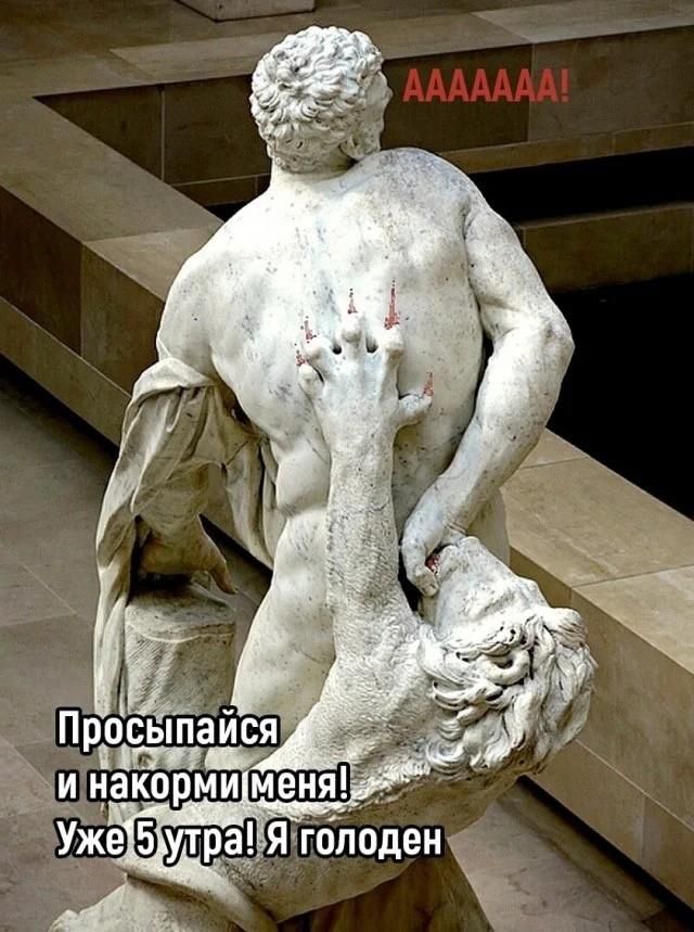 AAAAAAA! Просыпайся и накорми меня! Уже 5 утра! Я голоден