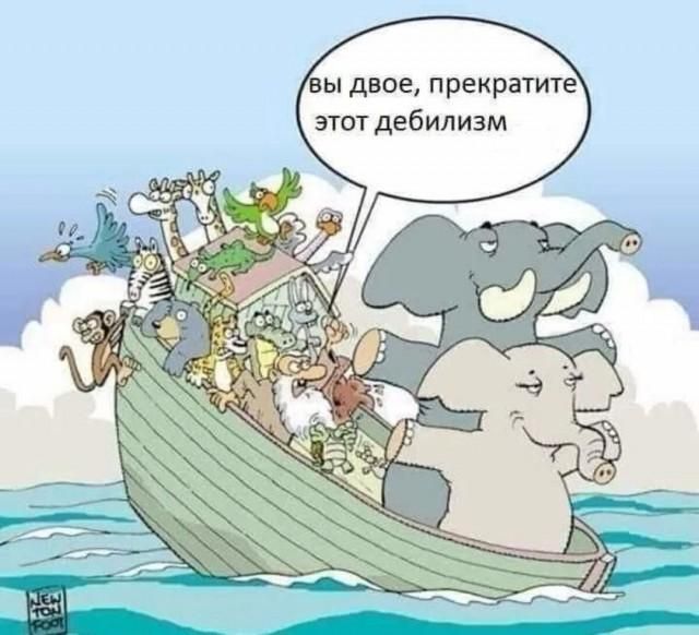 вы двое, прекратите этот дебилизм