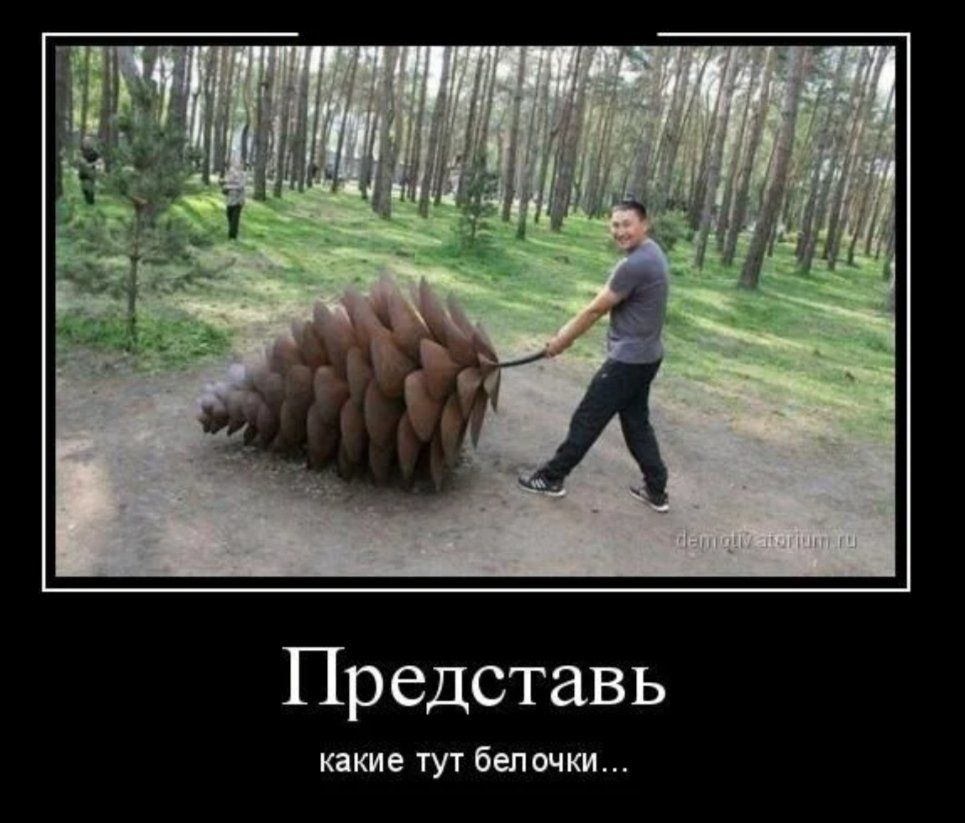 Представь какие тут белочки...